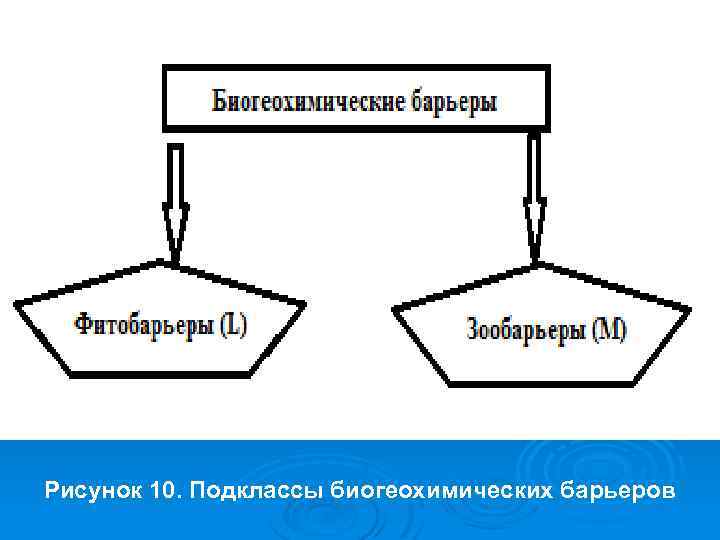 Рисунок 10. Подклассы биогеохимических барьеров 