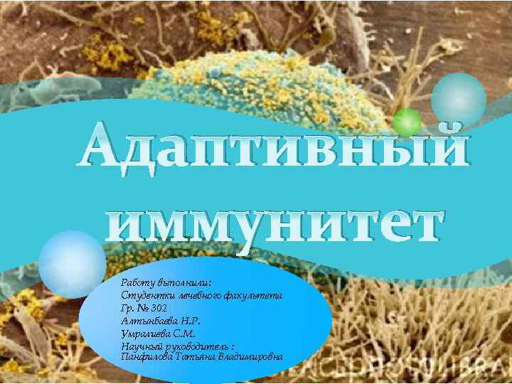 Адаптивный иммунитет Работу выполнили: Студентки лечебного факультета Гр. № 302 Алтынбаева Н. Р. Умралиева
