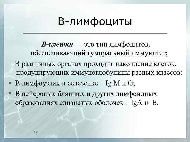 В-лимфоциты B-клетки — это тип лимфоцитов, обеспечивающий гуморальный иммунитет; В различных органах проходит накопление