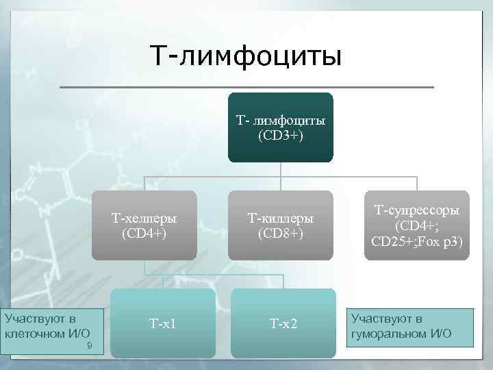 Т-лимфоциты Т- лимфоциты (CD 3+) T-хелперы (CD 4+) Участвуют в клеточном И/О 9 Т-х1