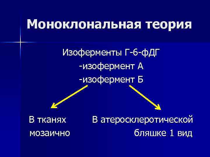 Моноклональная теория Изоферменты Г-6 -ф. ДГ -изофермент А -изофермент Б В тканях мозаично В