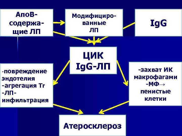 Апо. Всодержащие ЛП -повреждение Модифицированные ЛП ЦИК Ig. G-ЛП эндотелия -агрегация Tr -ЛПинфильтрация Атеросклероз