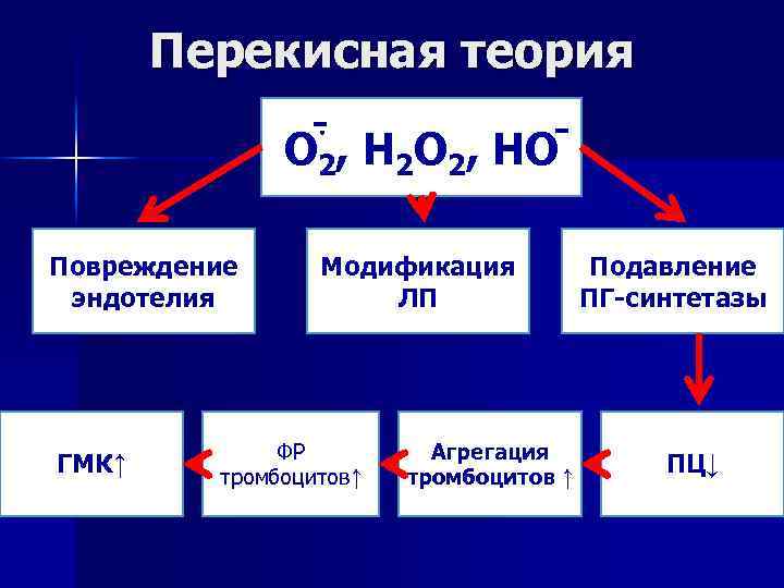 Перекисная теория О 2, Н 2 О 2, НО Повреждение эндотелия ГМК↑ Модификация ЛП