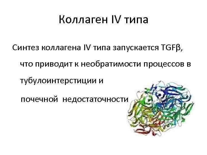 Коллаген IV типа Синтез коллагена IV типа запускается TGFβ, что приводит к необратимости процессов