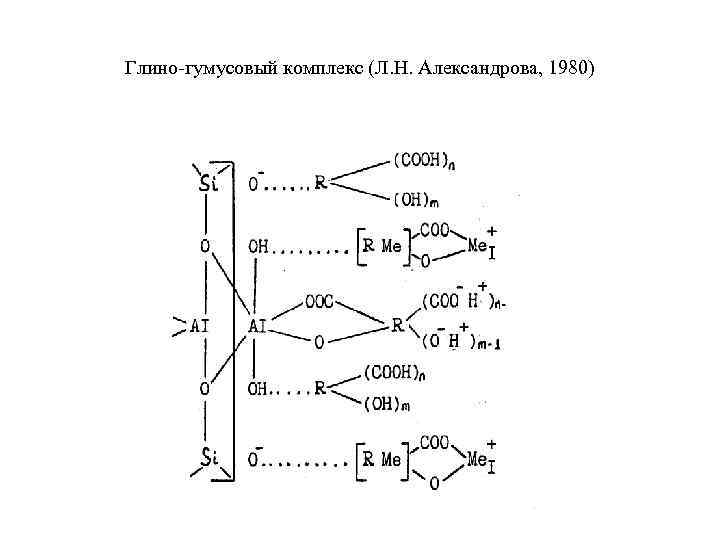 Глино гумусовый комплекс (Л. Н. Александрова, 1980) 