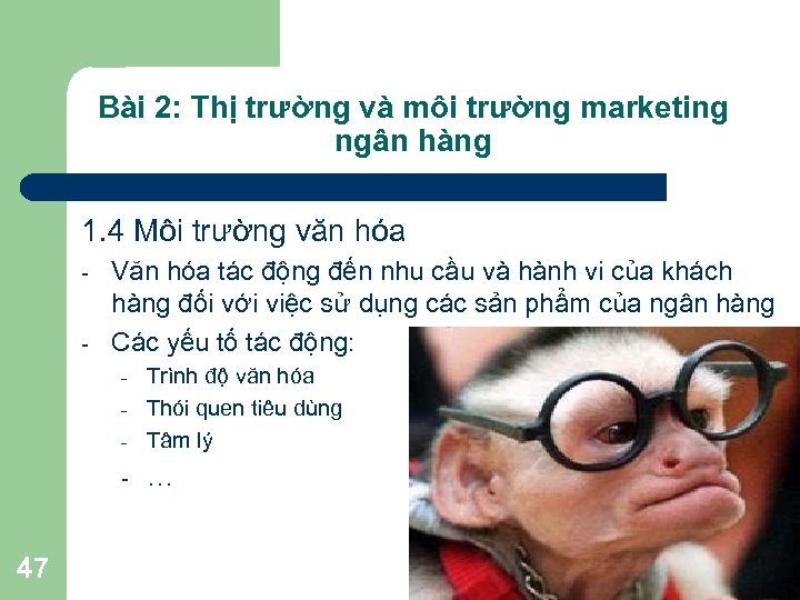 Bài 2: Thị trường và môi trường marketing ngân hàng 1. 4 Môi trường