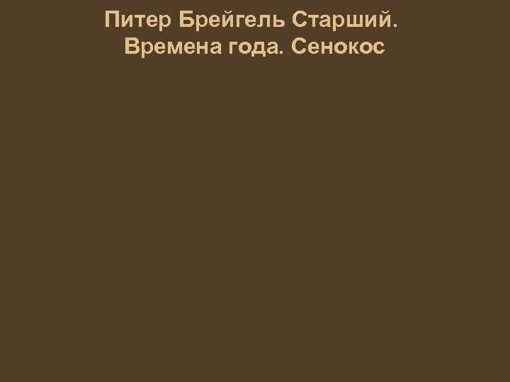 Питер Брейгель Старший. Времена года. Сенокос 