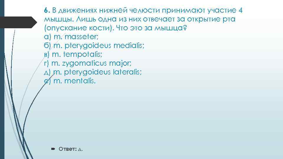 6. В движениях нижней челюсти принимают участие 4 мышцы. Лишь одна из них отвечает