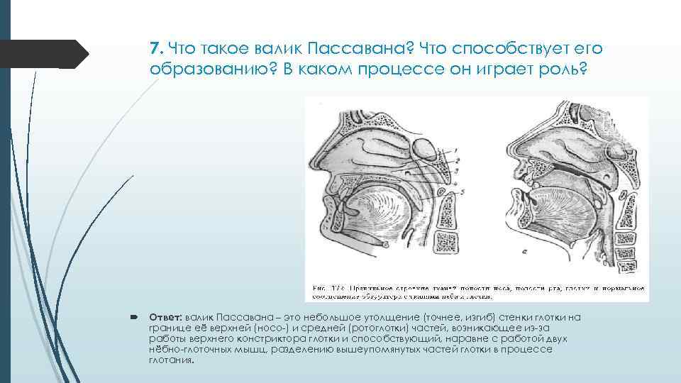 7. Что такое валик Пассавана? Что способствует его образованию? В каком процессе он играет