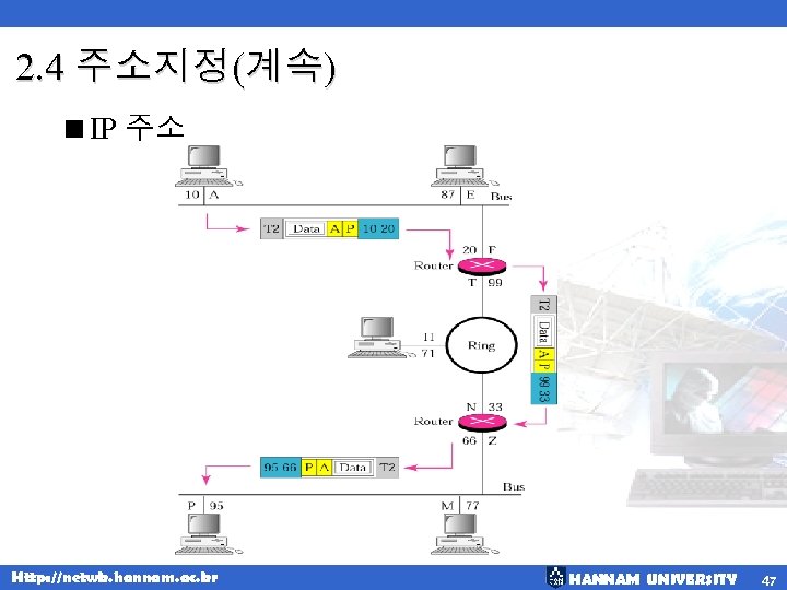 2. 4 주소지정(계속) <IP 주소 Http: //netwk. hannam. ac. kr HANNAM UNIVERSITY 47 