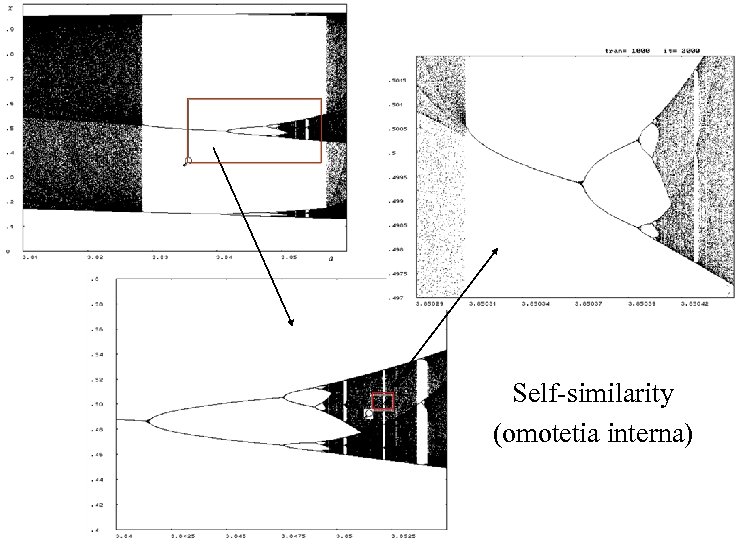 Self-similarity (omotetia interna) 