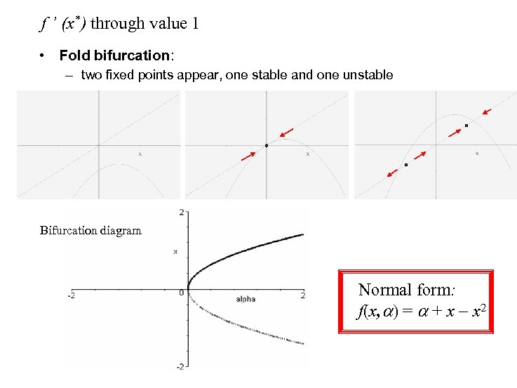 f ’ (x*) through value 1 • Fold bifurcation: – two fixed points appear,