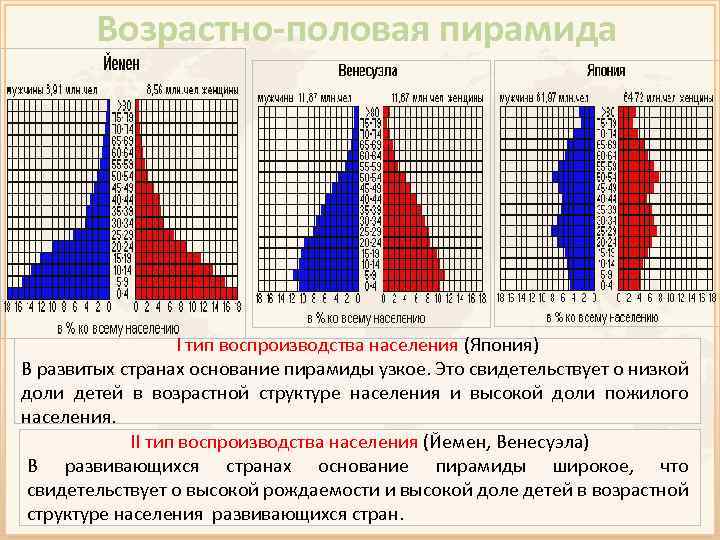 Полово возрастная пирамида