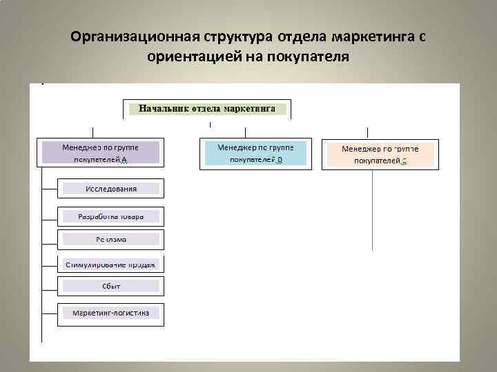 Организационная структура отдела маркетинга с ориентацией на покупателя 