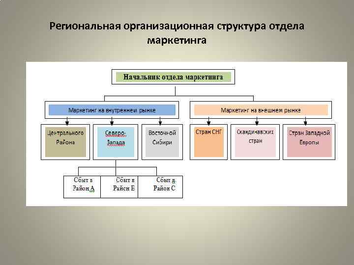 Маркетинговая организационная структура. Ориентации организационной структуры отдела маркетинга. Структура управления маркетингом на предприятии.