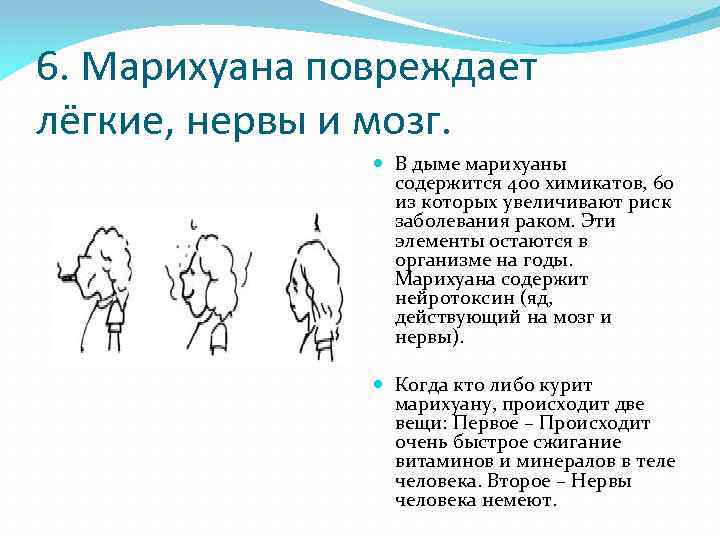 6. Марихуана повреждает лёгкие, нервы и мозг. В дыме марихуаны содержится 400 химикатов, 60