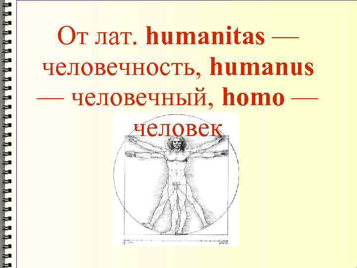 От лат. humanitas — человечность, humanus — человечный, homo — человек 