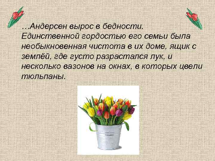 …Андерсен вырос в бедности. Единственной гордостью его семьи была необыкновенная чистота в их доме,