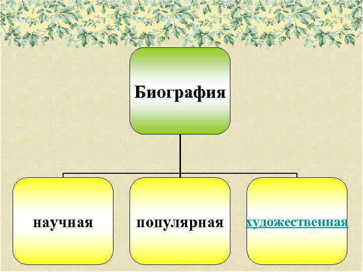 Биография научная популярная художественная 