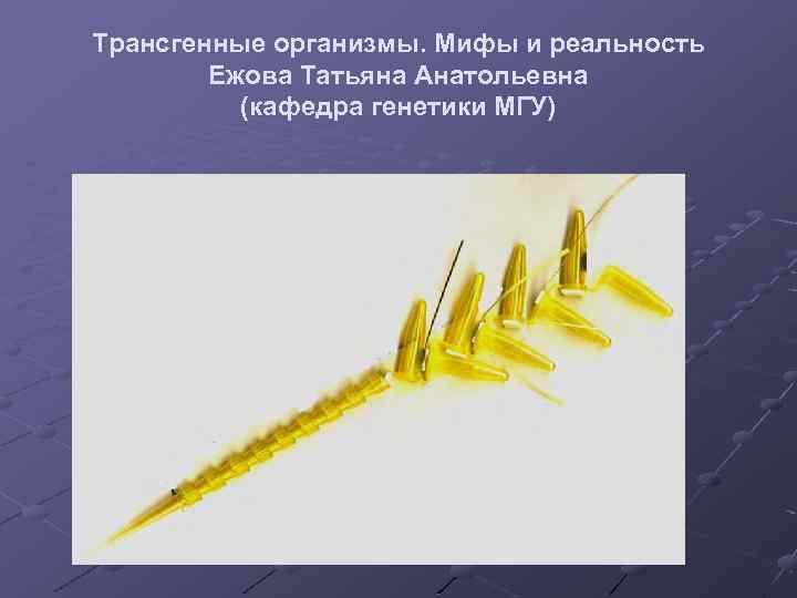 Трансгенные организмы. Мифы и реальность Ежова Татьяна Анатольевна (кафедра генетики МГУ) 
