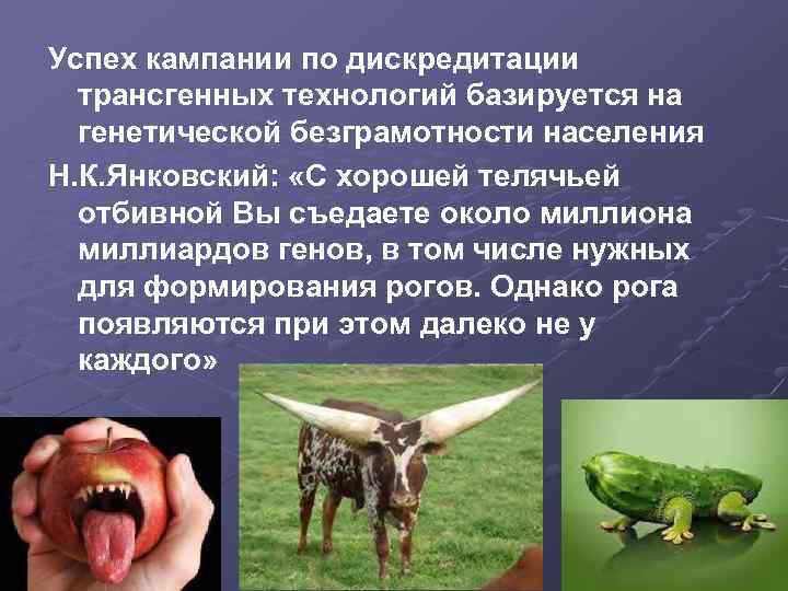 Успех кампании по дискредитации трансгенных технологий базируется на генетической безграмотности населения Н. К. Янковский: