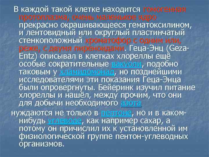  В каждой такой клетке находится гомогенная протоплазма, очень маленькое ядро прекрасно окрашивающееся гематоксилином,