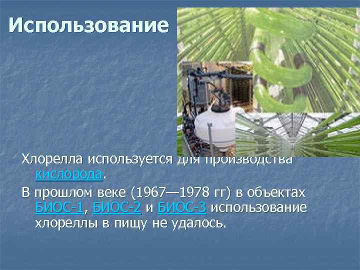 Использование Хлорелла используется для производства кислорода. В прошлом веке (1967— 1978 гг) в объектах