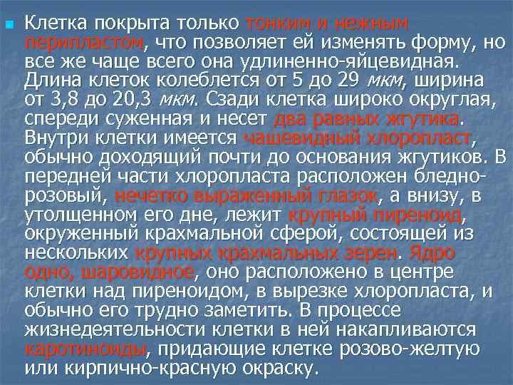 n Клетка покрыта только тонким и нежным перипластом, что позволяет ей изменять форму, но