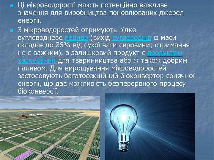 n n Ці мікроводорості мають потенційно важливе значення для виробництва поновлюваних джерел енергії. З