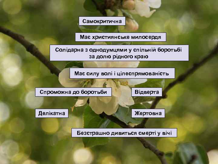 Самокритична Має xристиянськe милосердя Солідарна з однодумцями у спільній боротьбі за долю рідного краю