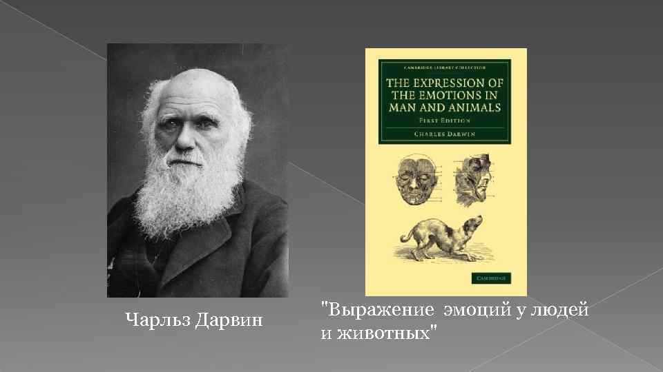 Чарльз Дарвин 