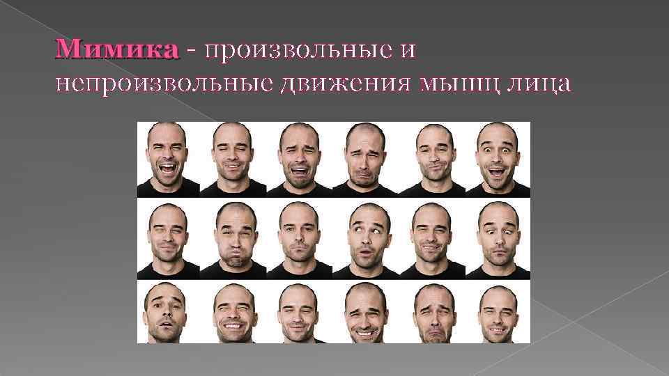 Мимика - произвольные и непроизвольные движения мышц лица 
