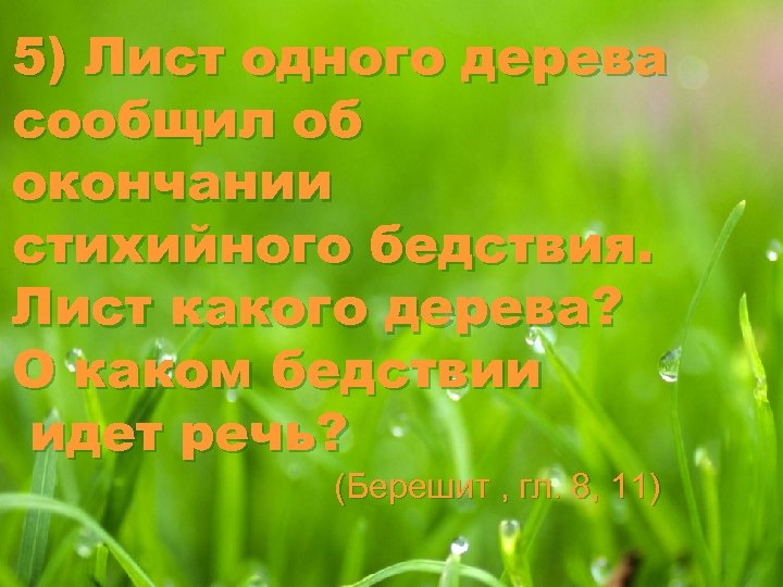 5) Лист одного дерева сообщил об окончании стихийного бедствия. Лист какого дерева? О каком
