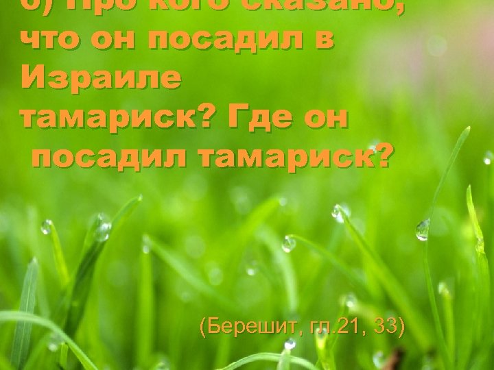 6) Про кого сказано, что он посадил в Израиле тамариск? Где он посадил тамариск?