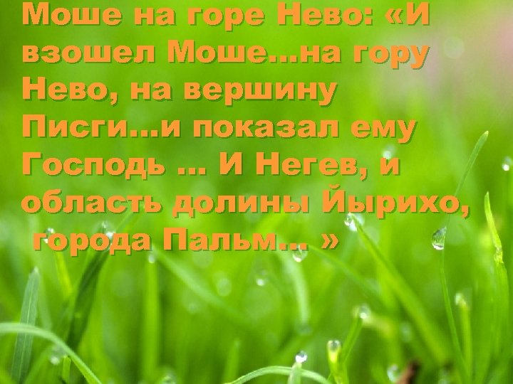 Моше на горе Нево: «И взошел Моше…на гору Нево, на вершину Писги…и показал ему