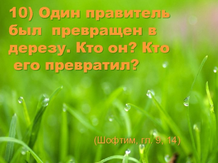 10) Один правитель был превращен в дерезу. Кто он? Кто его превратил? (Шофтим, гл.