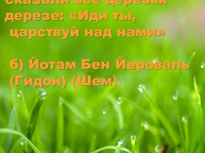 сказали все деревья дерезе: «Иди ты, царствуй над нами» б) Йотам Бен Йероваль (Гидон)