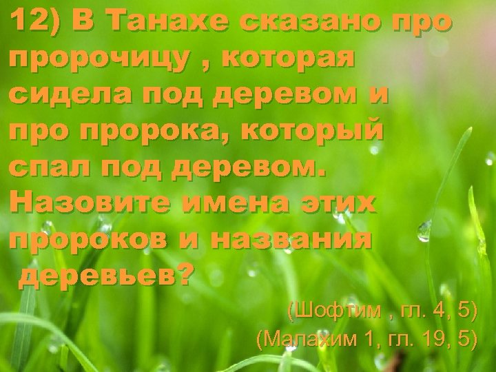 12) В Танахе сказано пророчицу , которая сидела под деревом и пророка, который спал