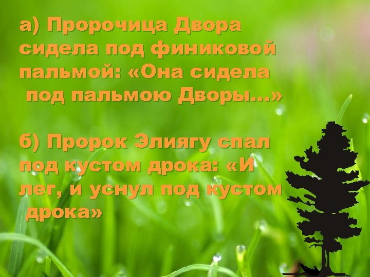а) Пророчица Двора сидела под финиковой пальмой: «Она сидела под пальмою Дворы…» б) Пророк