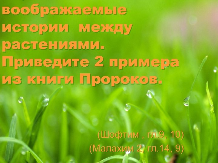 воображаемые истории между растениями. Приведите 2 примера из книги Пророков. (Шофтим , гл. 9,
