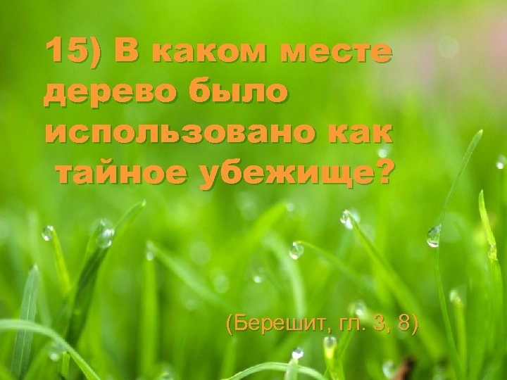 15) В каком месте дерево было использовано как тайное убежище? (Берешит, гл. 3, 8)