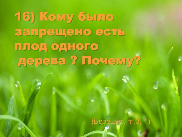 16) Кому было запрещено есть плод одного дерева ? Почему? (Берешит, гл. 3, 1)