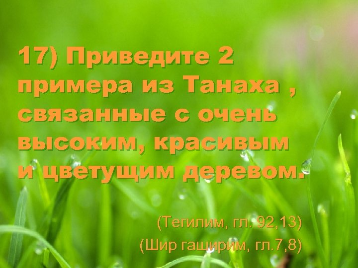 17) Приведите 2 примера из Танаха , связанные с очень высоким, красивым и цветущим