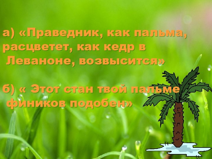 а) «Праведник, как пальма, расцветет, как кедр в Леваноне, возвысится» б) « Этот стан