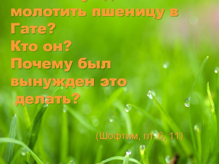 молотить пшеницу в Гате? Кто он? Почему был вынужден это делать? (Шофтим, гл. 6,