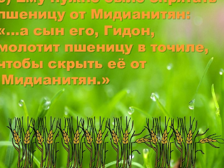 б) Ему нужно было спрятать пшеницу от Мидианитян: «…а сын его, Гидон, молотит пшеницу
