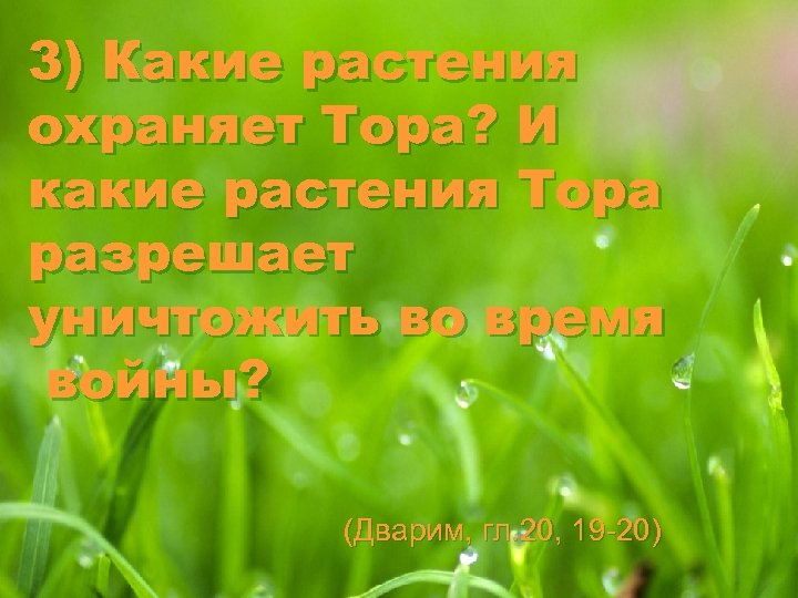3) Какие растения охраняет Тора? И какие растения Тора разрешает уничтожить во время войны?