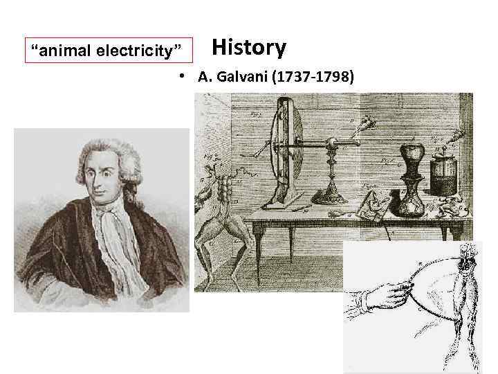 “animal electricity” History • A. Galvani (1737 -1798) 