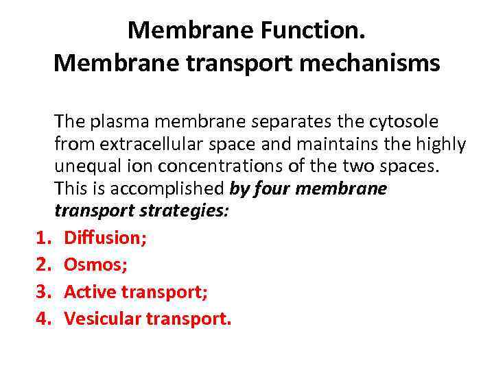 Membrane Function. Membrane transport mechanisms The plasma membrane separates the cytosole from extracellular space