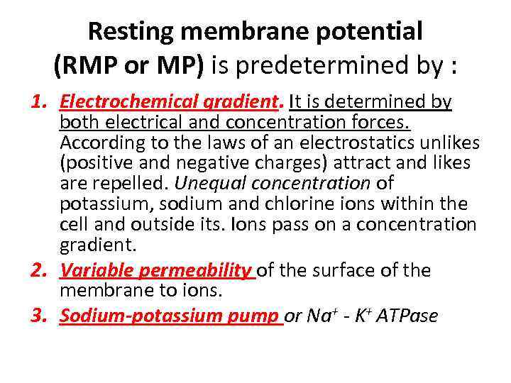 Resting membrane potential (RMP or MP) is predetermined by : 1. Electrochemical gradient. It